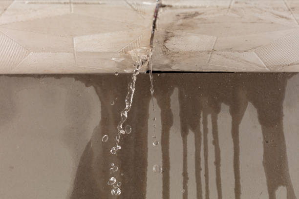 Professional Burst Pipe Cleanup technician working in Loris, SC